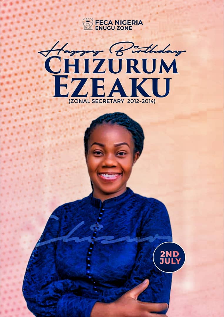 What I noticed about FECA Enugu zone as a congressman